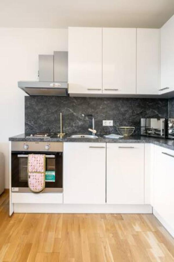 Near Lake Fully Furnished Beautiful Apartment Vienna Esterno foto