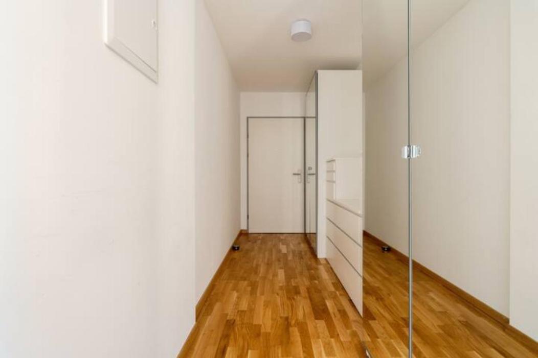 Near Lake Fully Furnished Beautiful Apartment Vienna Esterno foto